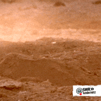 Ground Squirrel E GIF by SWR Kindernetz