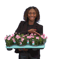 Flower Thumbs Up Sticker by Hofland Flowering and Plants