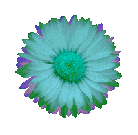 Flower Love Sticker by Sage’s Aura