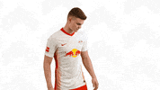 Oh Yeah Yes GIF by RB Leipzig