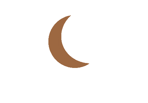 lilydlin giphyupload rainbow moon plant Sticker