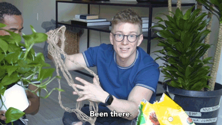 tyleroakley giphyupload flower youtube house GIF