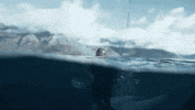 Specialforcesfox GIF by Reality Club FOX