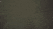 Dwighthoward GIF by Reality Club FOX