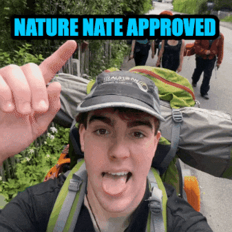 natewilbourne giphygifmaker nature new zealand mother earth GIF