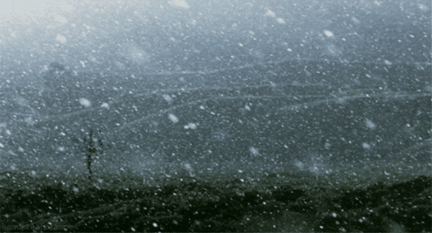 aleoxth giphygifmaker GIF