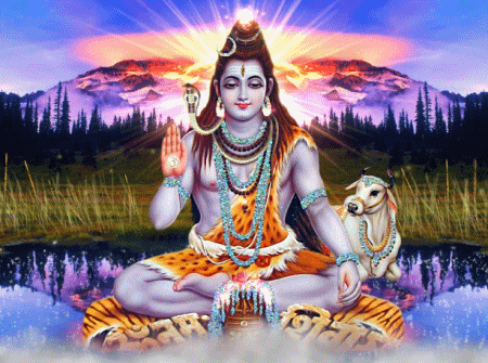 sachinsharmac046 giphyupload GIF