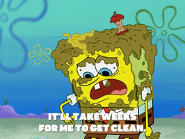 season 5 000 patties under the sea GIF by SpongeBob SquarePants