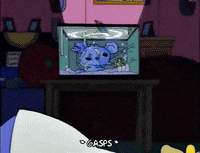 homer simpson GIF