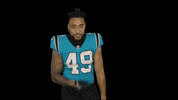 North Carolina Football GIF by Carolina Panthers