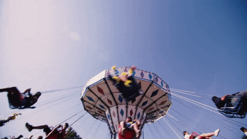 GIF by VakantieVeilingen