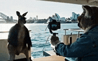 Happy Harbour Bridge GIF