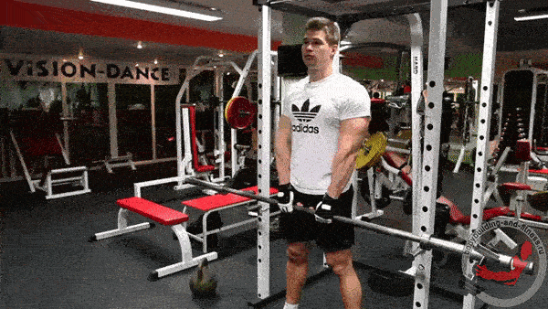 bodybuilding-and-fitness giphyupload GIF