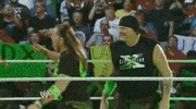 triple h wrestling GIF by WWE