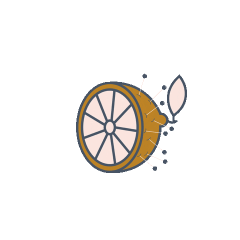 Lemon Citron Sticker by Artesane