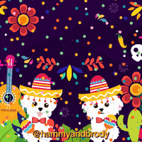 Cinco De Mayo Dogs GIF by HammyandBrody