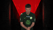 Esports Fifa GIF by Bundesliga