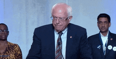 Bernie Sanders 2020 Race GIF