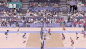 Olympic Games Sport GIF by NBC Olympics