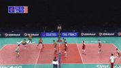 GIF by Volleyball World
