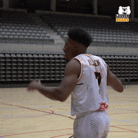 LeuvenBears celebration celebrate bears name GIF