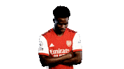 Football Celebrate Sticker by Arsenal