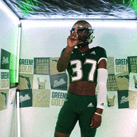 South Florida Horns Up GIF by USF Athletics