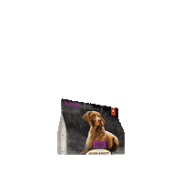 Dog Dogfood Sticker by OvenBakedTradition