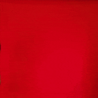 Taylah Thomas GIF by Texas Tech Women's Basketball