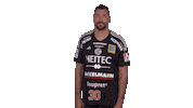 Handball-Bundesliga Sport Sticker by LIQUI MOLY HBL