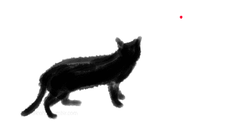 confused black cat STICKER