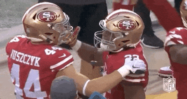 2019 Nfl Football GIF by NFL