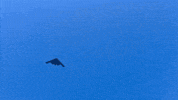 Air Force Homecoming GIF by Norwich University