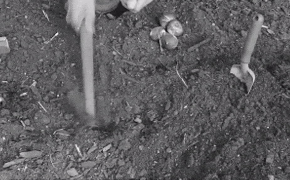 anjasaje giphyupload GIF