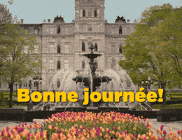 Quebec Qc GIF by Assemblée nationale du Québec