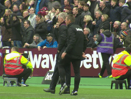 premier league epl GIF by West Ham United