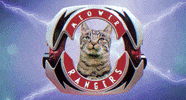 morph mighty morphin power rangers GIF by Power Rangers