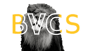 bvcslions bvcs big valley Sticker