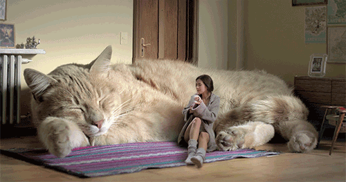 cuddle session GIF