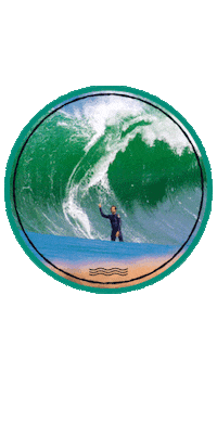 shock surf Sticker by Cerveja Praya