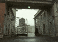 Film Hungarian GIF