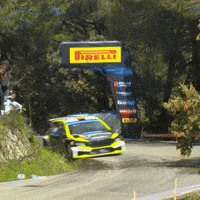 Never Give Up Crash GIF by FIA European Rally Championship