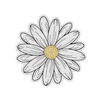 jazmynmariegifs flower wild wildflower jazmyngifs Sticker