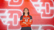Daytonvolleyball GIF by Dayton Flyers