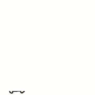 Dog Omg GIF