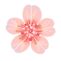 Cherry Blossom Flower Sticker by Starbucks