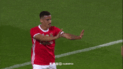 high five sl benfica GIF by Sport Lisboa e Benfica