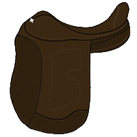 Reiten Sattel Sticker by RidersDeal