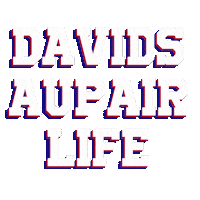 Davidaupair Sticker