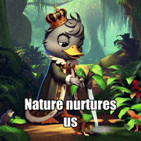 Wisdom Interconnectedness GIF by sirduckbeth